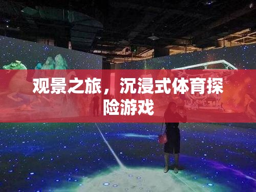 沉浸式觀景之旅，探索體育探險的全新維度