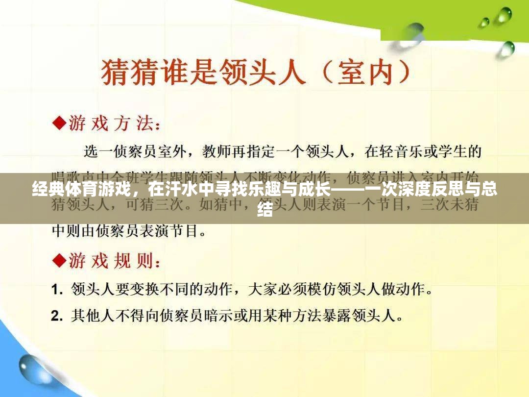 經(jīng)典體育游戲，在汗水中尋找樂趣與成長的深度反思與總結(jié)