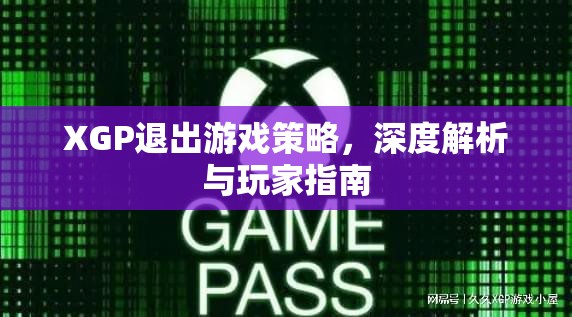 XGP退出游戲策略深度解析，玩家指南與應(yīng)對策略