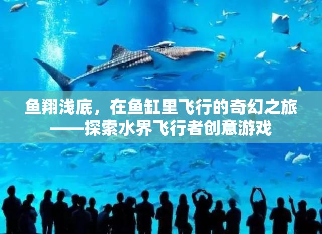 魚翔淺底，在魚缸里飛行的奇幻之旅——探索水界飛行者創(chuàng)意游戲