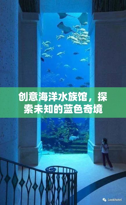 藍色奇境，創(chuàng)意海洋水族館的探索之旅