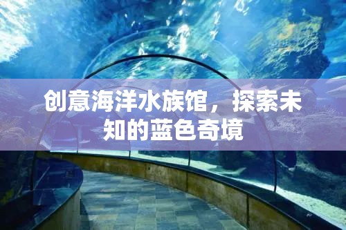 藍色奇境，創(chuàng)意海洋水族館的探索之旅