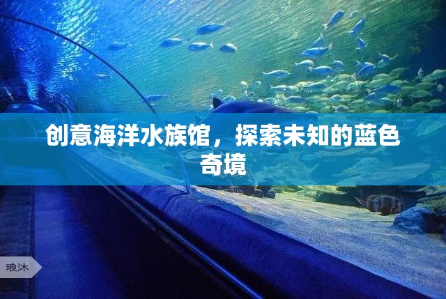 藍色奇境，創(chuàng)意海洋水族館的探索之旅