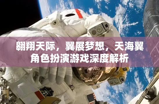 天海翼，翱翔天際的夢想之旅——角色扮演游戲深度解析