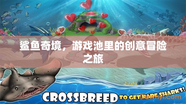 鯊魚奇境，游戲池中的創(chuàng)意冒險(xiǎn)之旅