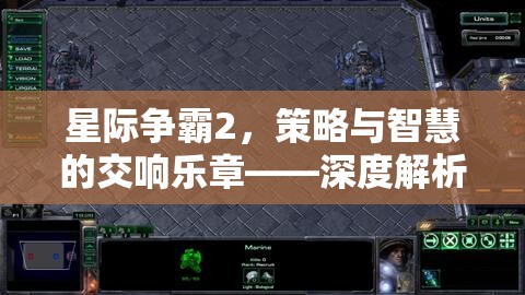 星際爭霸2，策略與智慧的交響樂章——深度解析其代碼背后的奧秘