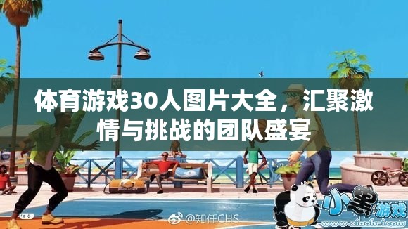 30人體育游戲圖片集錦，激情與挑戰(zhàn)的團(tuán)隊(duì)盛宴