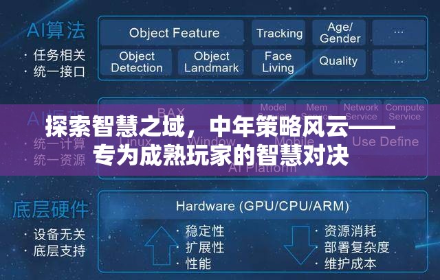 智慧之域的探索，中年策略風(fēng)云的智慧對決