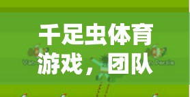 千足蟲體育游戲，團(tuán)隊協(xié)作與策略的趣味挑戰(zhàn)