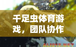 千足蟲體育游戲，團(tuán)隊協(xié)作與策略的趣味挑戰(zhàn)