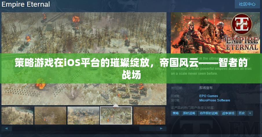 iOS平臺(tái)上的策略游戲新篇章，帝國風(fēng)云——智者的戰(zhàn)場
