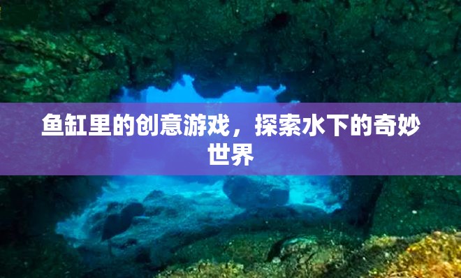 魚缸里的創(chuàng)意游戲，探索水下的奇妙世界