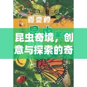 昆蟲奇境，創(chuàng)意與探索的奇妙之旅