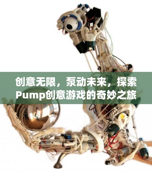 Pump創(chuàng)意游戲，探索無限創(chuàng)意，泵動(dòng)未來之旅