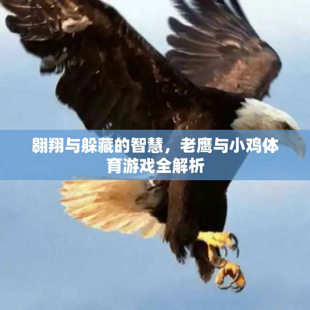 老鷹與小雞，體育游戲中的翱翔與躲藏智慧全解析