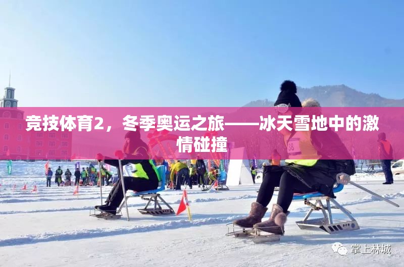 冰雪盛宴，冬季奧運之旅的競技激情