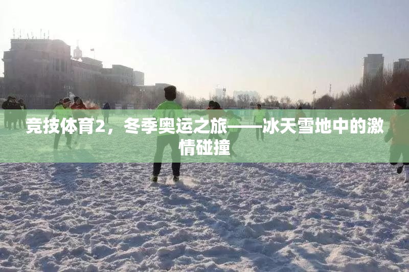 競(jìng)技體育2，冬季奧運(yùn)之旅——冰天雪地中的激情碰撞