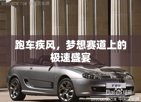 跑車疾風(fēng)，夢想賽道上的極速盛宴