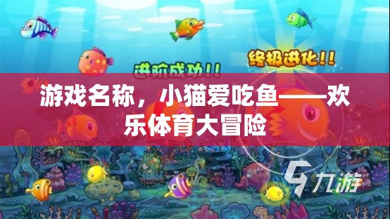 小貓愛吃魚，歡樂體育大冒險