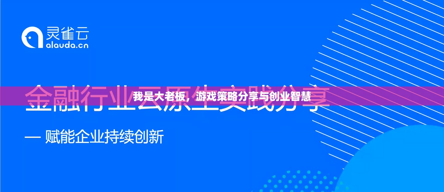 大老板的創(chuàng)業(yè)智慧，游戲策略與成功秘訣