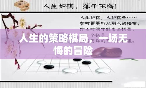 人生的策略棋局，一場無悔的冒險(xiǎn)之旅