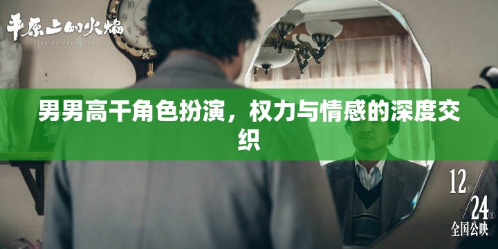 權(quán)力與情感的交織，男男高干角色扮演的深度探索