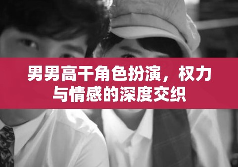 權(quán)力與情感的交織，男男高干角色扮演的深度探索