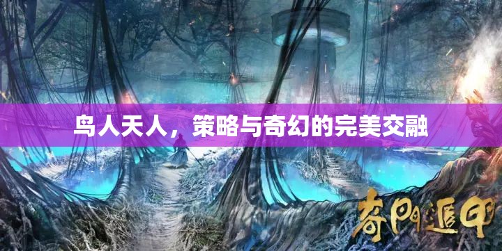 鳥人天人，策略與奇幻的完美交融