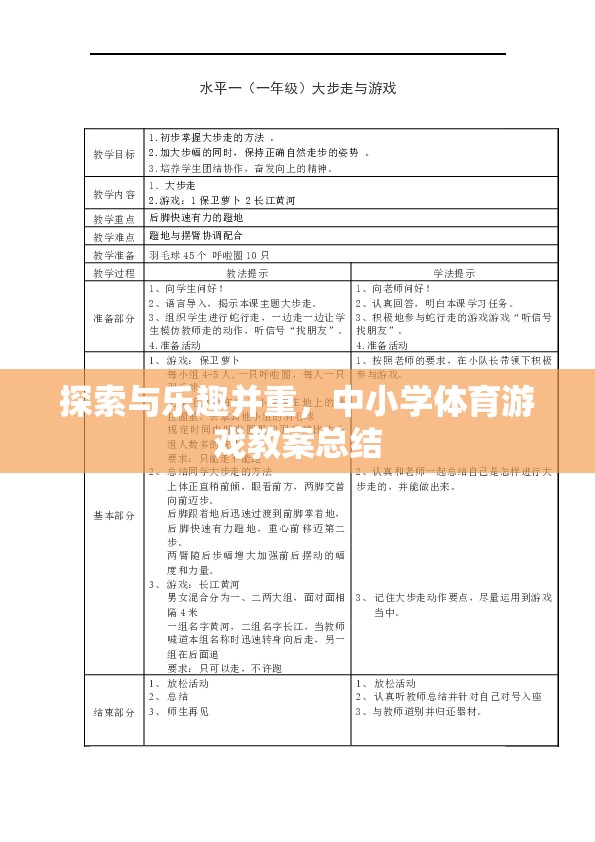 探索與樂趣并重，中小學(xué)體育游戲教案總結(jié)