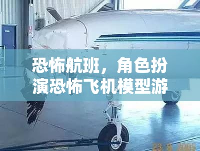 恐怖航班，沉浸式恐怖飛機(jī)模型游戲體驗(yàn)