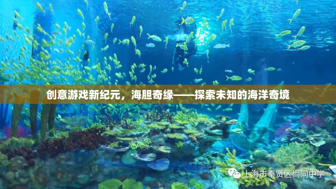 海膽奇緣，解鎖創(chuàng)意游戲新紀(jì)元，探索未知的海洋奇境