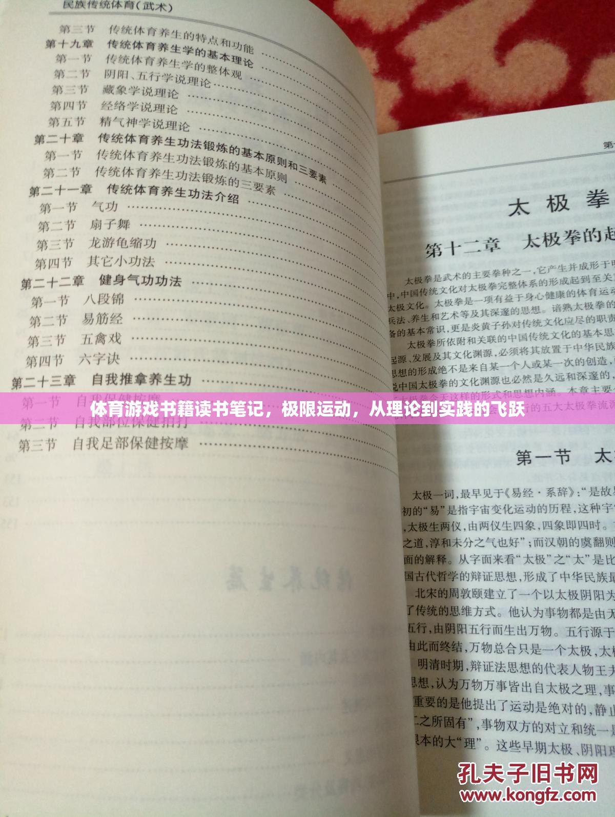 極限挑戰(zhàn)，體育游戲書籍中的理論與實踐飛躍