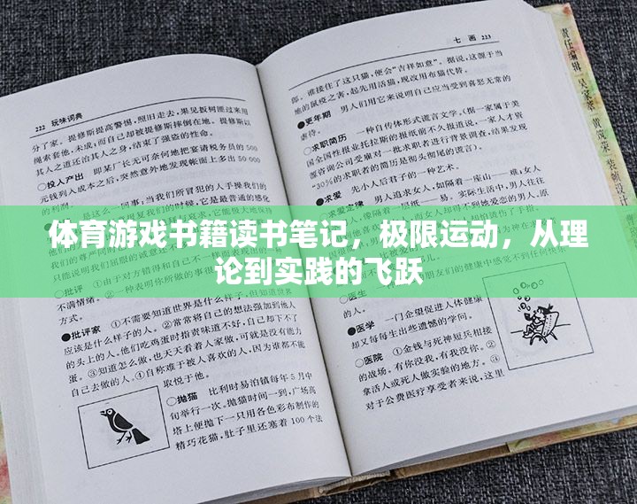 極限挑戰(zhàn)，體育游戲書(shū)籍中的理論與實(shí)踐飛躍