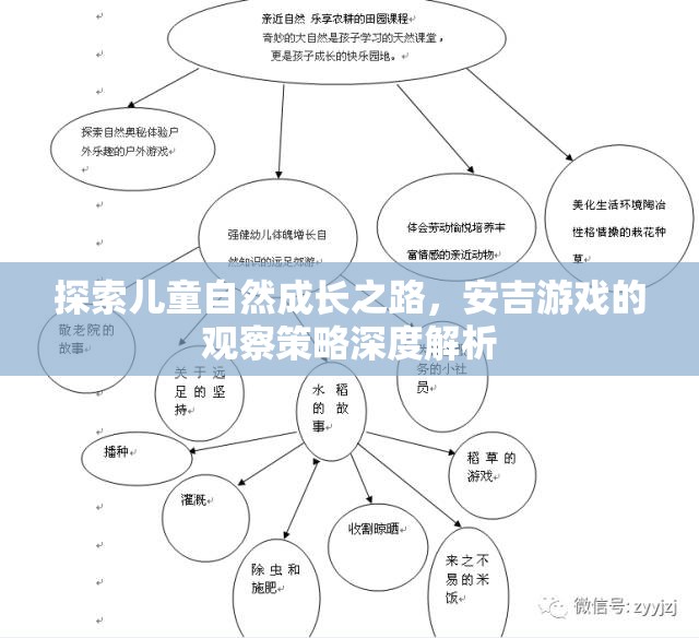 安吉游戲觀察策略，探索兒童自然成長(zhǎng)之路的深度解析