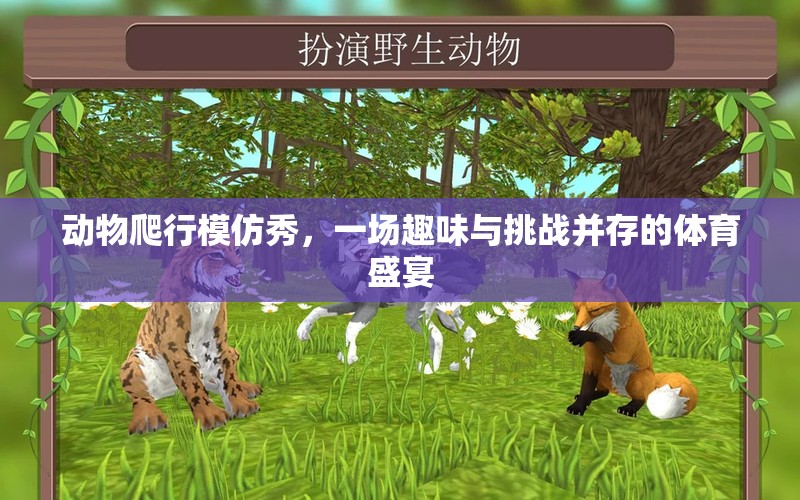 動物爬行模仿秀，趣味與挑戰(zhàn)并存的體育盛宴