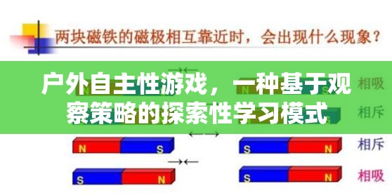 戶外自主性游戲，基于觀察策略的探索性學(xué)習(xí)模式