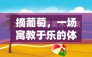 寓教于樂，以摘葡萄體育游戲?yàn)檩d體的教育反思