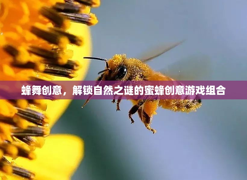 蜂舞創(chuàng)意，解鎖自然之謎的蜜蜂游戲組合