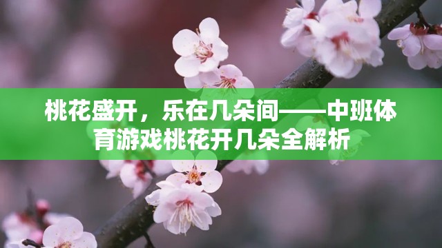 中班體育游戲桃花開幾朵，在桃花盛開中體驗樂趣的全面解析