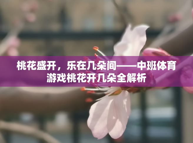 中班體育游戲桃花開幾朵，在桃花盛開中體驗樂趣的全面解析