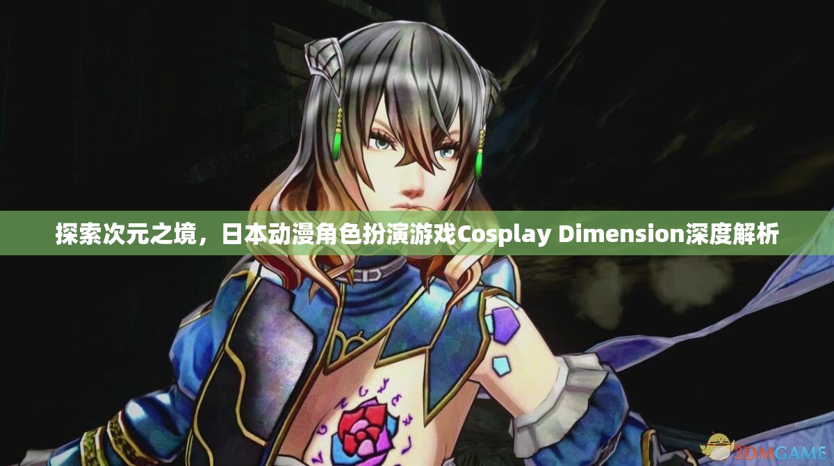 探索次元之境，日本動(dòng)漫角色扮演游戲Cosplay Dimension深度解析