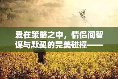 情謀天下，情侶間智謀與默契的完美碰撞