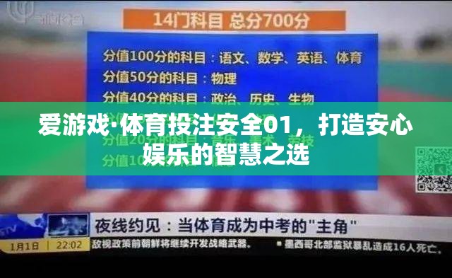 安全01，打造安心娛樂的智慧之選，愛游戲·體育投注的智慧之選