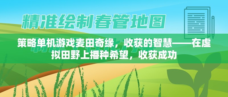 麥田奇緣，在虛擬田野上播種智慧，收獲成功