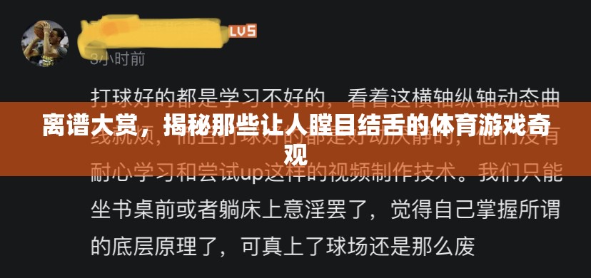 揭秘離譜大賞，體育游戲中的瞠目結(jié)舌奇觀