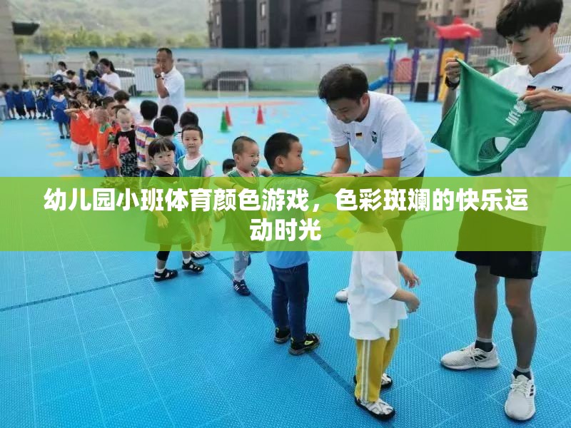 幼兒園小班體育顏色游戲，色彩斑斕的快樂運(yùn)動(dòng)時(shí)光