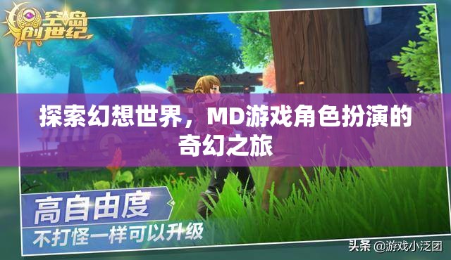 探索幻想世界，MD游戲角色扮演的奇幻之旅