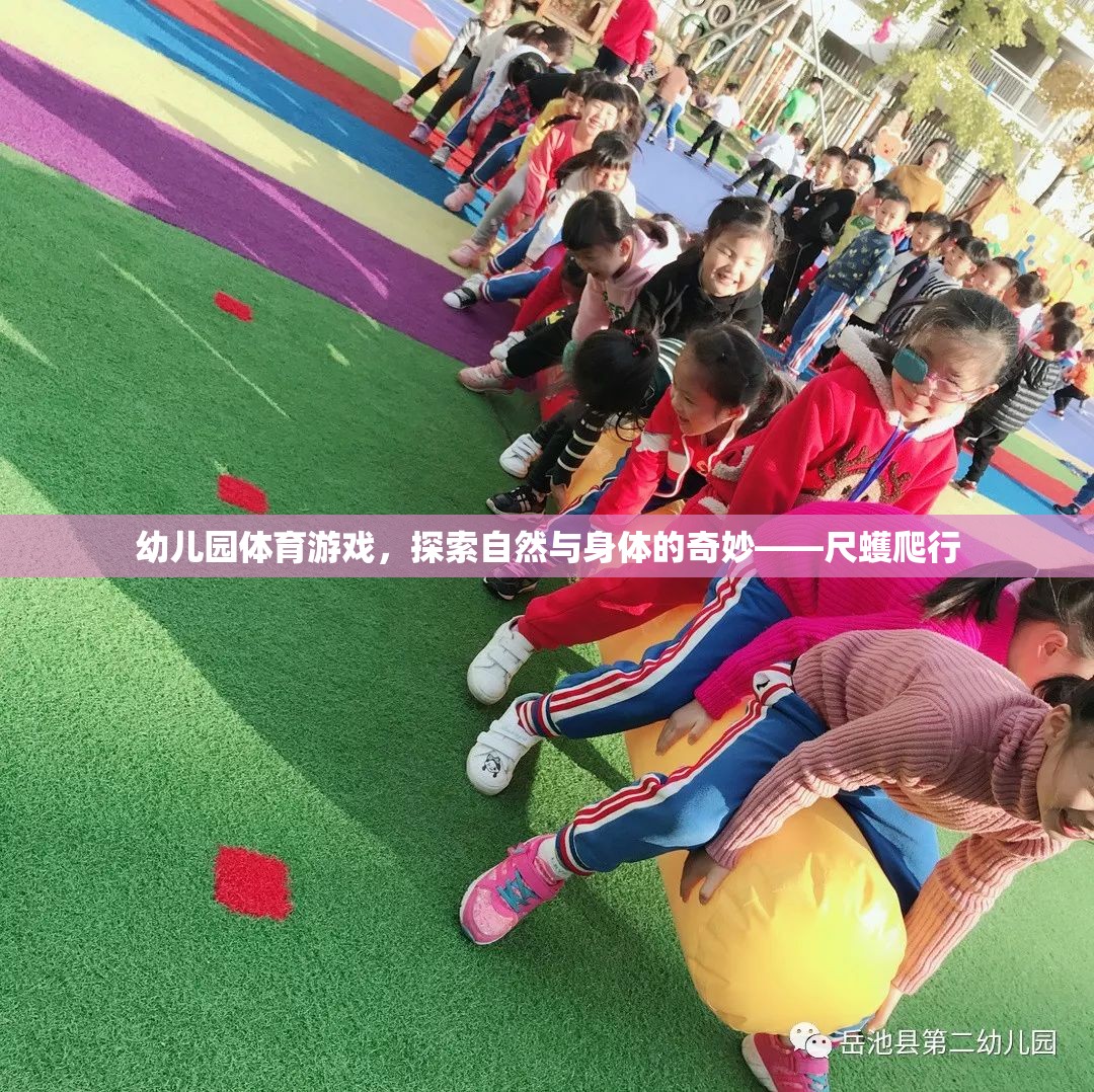 探索自然與身體的奇妙，幼兒園尺蠖爬行體育游戲