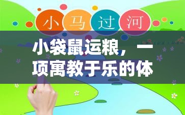 寓教于樂，小袋鼠運糧體育游戲教案設計