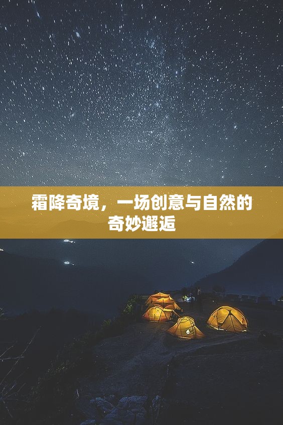 霜降奇境，創(chuàng)意與自然的夢幻交融